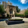 50+ Free Yale University Online Courses