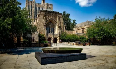 50+ Free Yale University Online Courses